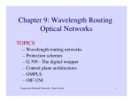 Chapter 9: Wavelength Routing Optical Networks