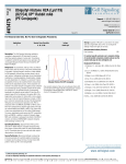 41475 - Cell Signaling Technology