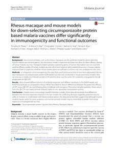 Rhesus macaque and mouse models for down