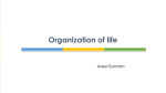 Organization of life - PBS Science Grade 7