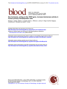 human primary hematopoietic cells gene, increase telomerase