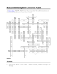 Musculoskeletal System Crossword Puzzle