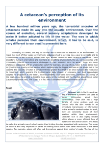 Read More... - Mingan Island Cetacean Study