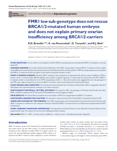 FMR1 low sub-genotype does not rescue BRCA1