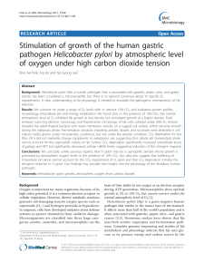 Stimulation of growth of the human gastric