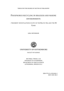 phosphorus recycling in brackish and marine environments