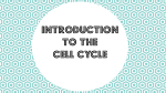 Introduction to the Cell Cycle