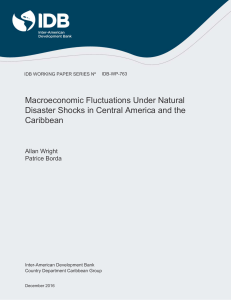Macroeconomic Fluctuations Under Natural Disaster Shocks in