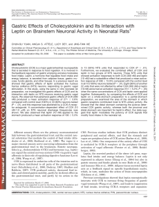 Gastric Effects of Cholecystokinin and Its Interaction with Leptin on