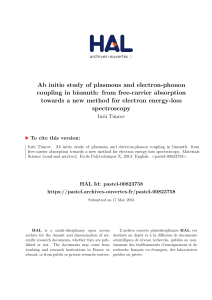 Ab initio study of plasmons and electron