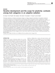 Iterative development and the scope for plasticity: contrasts