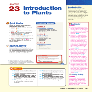 Introduction to Plants