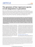 The genomes of four tapeworm species reveal adaptations to