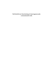 Soil detritivore functioning in heterogeneously contaminated soils