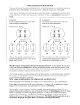 Further Clarification of GENE LINKAGE When you did Gamete