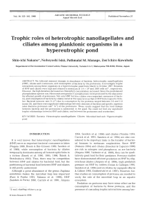 Trophic roles of heterotrophic nanoflagellates and ciliates among