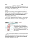 Biology 11 Name: Misconceptions about Evolution Because natural