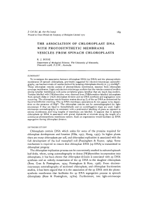 the association of chloroplast dna with photosynthetic membrane