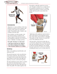 Quadriceps Tendonitis - Advanced Physical Therapy CT