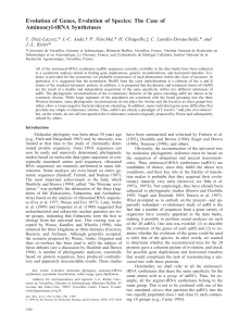 Evolution of genes, evolution of species: the case of aminoacyl