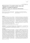 Disproportion of cerebral surface areas and volumes in