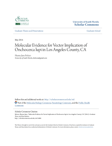 Molecular Evidence for Vector Implication of Onchocerca lupi in Los