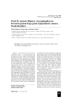 Flesh fly myiasis - Phyllomedusa - Journal of Herpetology