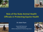 Presentations - National Institute for Animal Agriculture