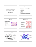 ME-300.713 Bone Marrow and Lymph Node Histology.2011s.pptx