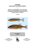 Paxton Lake Benthic and Limnetic Stickleback (Gasterosteus