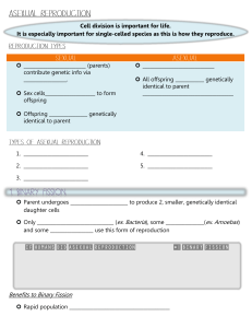 If Humans Did Asexual Reproduction #1 Binary Fission