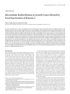 PDF - Journal of Neuroscience