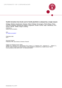 Vanillin formation from ferulic acid in Vanilla planifolia is catalysed