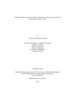 Understanding The Function And Regulation Of Eukaryotic Release