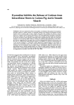 Ryanodine Inhibits the Release of Calcium from Intracellular Stores