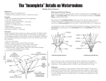 Incomplete - Watermelon.org