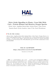 Nitric Oxide Signalling in Plants: Cross