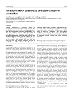 Aminoacyl-tRNA synthetase complexes: beyond translation