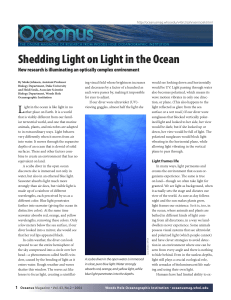 Shedding Light on Light in the Ocean