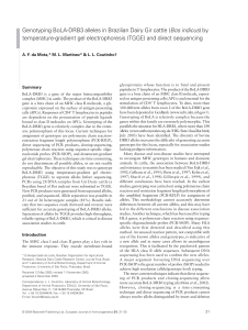 Genotyping BoLA-DRB3 alleles in Brazilian Dairy Gir cattle (Bos