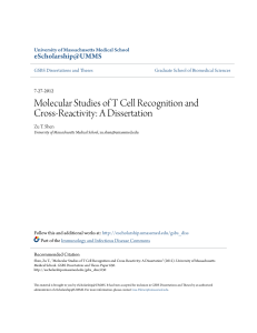 Molecular Studies of T Cell Recognition and Cross