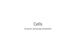 Science - B1 Cell Structure and Transport in and out of Cells