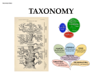 Taxonomy Notes TAXONOMY