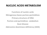 9 Nucleic acids metabolism