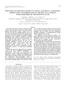 processing of defensive pigment in aplysia californica: acquisition