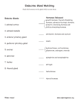 Endocrine Gland Matching