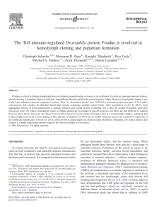 The Toll immune-regulated Drosophila protein Fondue is involved in