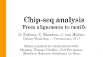Chip-seq analysis
