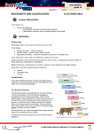 BIODIVERSITY AND CLASSIFICATION 15