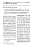 Lanosterol Biosynthesis in the Prokaryote